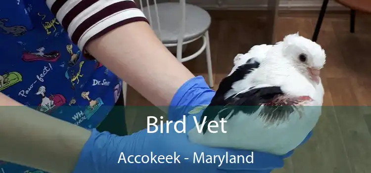 Bird Vet Accokeek - Maryland