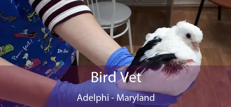 Bird Vet Adelphi - Maryland