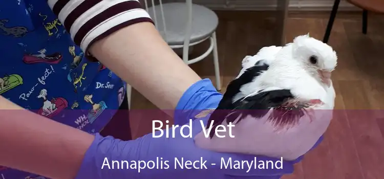 Bird Vet Annapolis Neck - Maryland