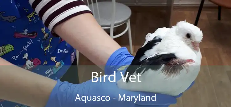 Bird Vet Aquasco - Maryland