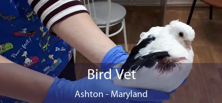 Bird Vet Ashton - Maryland