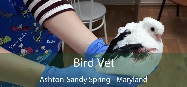 Bird Vet Ashton-Sandy Spring - Maryland