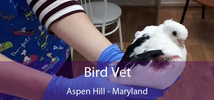 Bird Vet Aspen Hill - Maryland