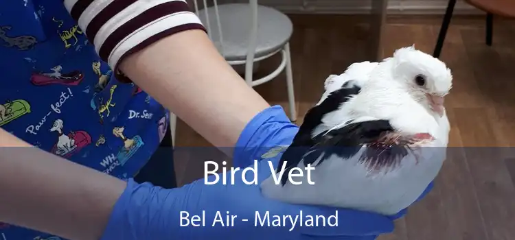 Bird Vet Bel Air - Maryland