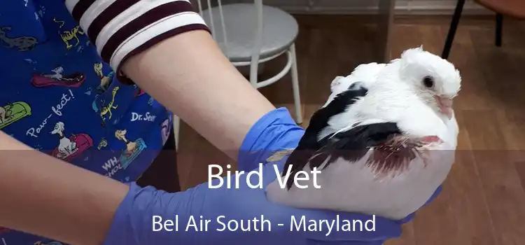 Bird Vet Bel Air South - Maryland