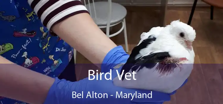 Bird Vet Bel Alton - Maryland