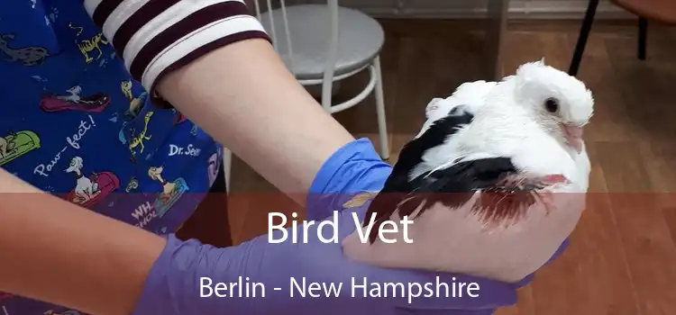 Bird Vet Berlin - New Hampshire