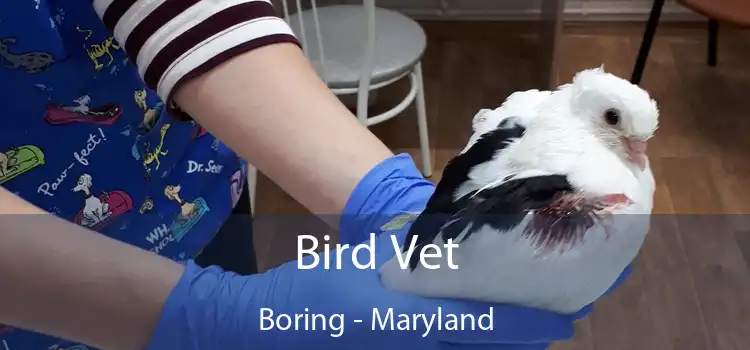 Bird Vet Boring - Maryland