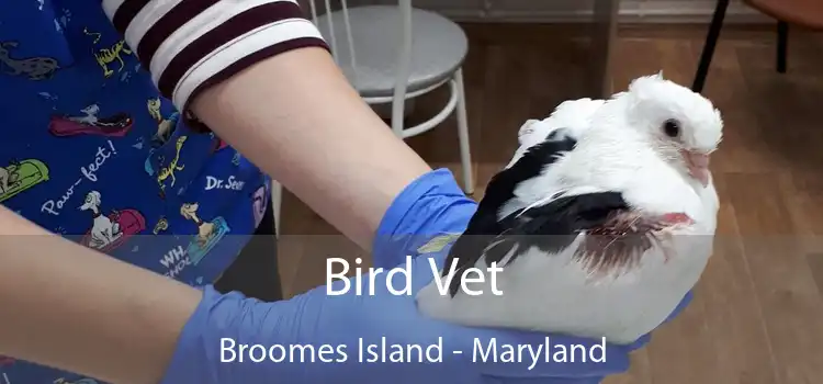 Bird Vet Broomes Island - Maryland