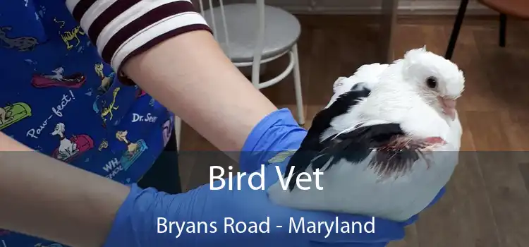 Bird Vet Bryans Road - Maryland