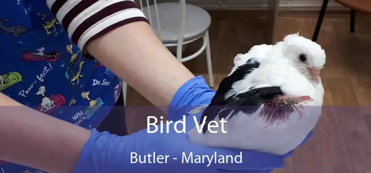 Bird Vet Butler - Maryland