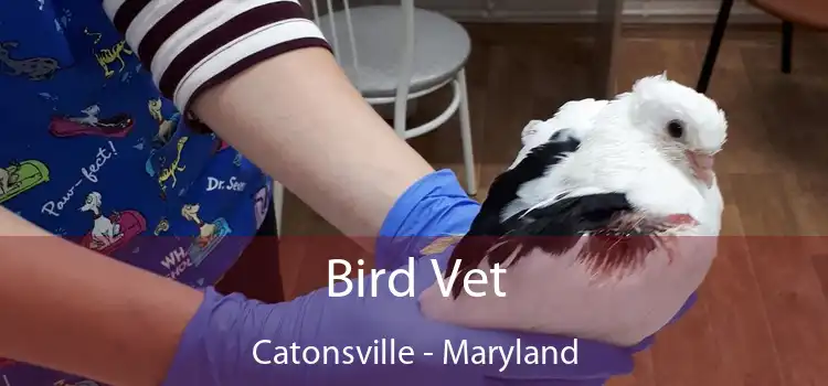 Bird Vet Catonsville - Maryland