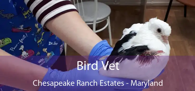 Bird Vet Chesapeake Ranch Estates - Maryland