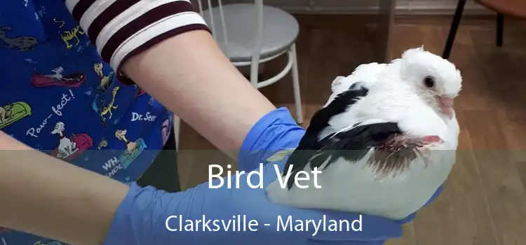 Bird Vet Clarksville - Maryland