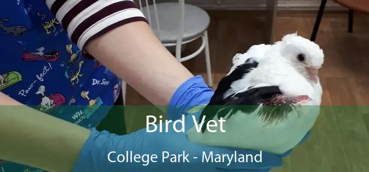 Bird Vet College Park - Maryland