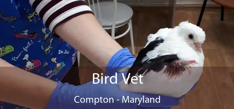 Bird Vet Compton - Maryland