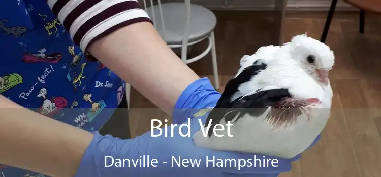 Bird Vet Danville - New Hampshire