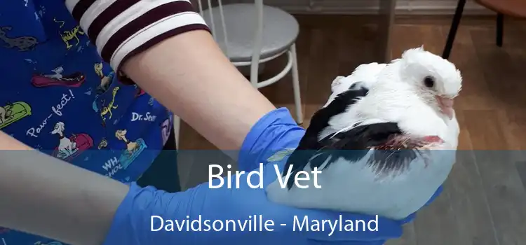 Bird Vet Davidsonville - Maryland