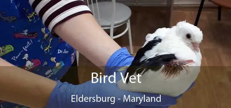 Bird Vet Eldersburg - Maryland