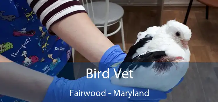 Bird Vet Fairwood - Maryland