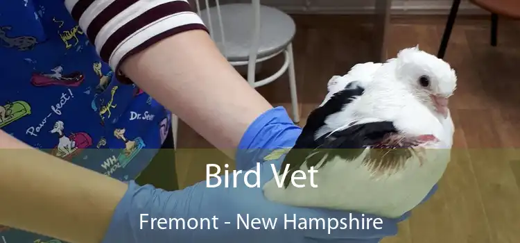 Bird Vet Fremont - New Hampshire