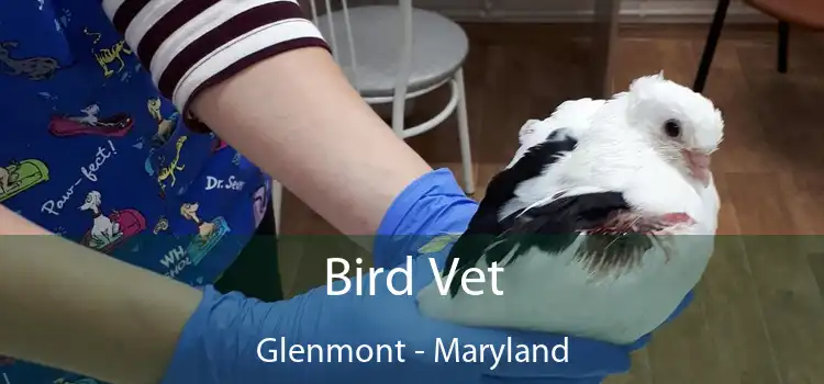 Bird Vet Glenmont - Maryland