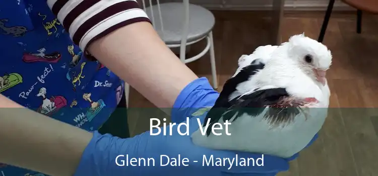 Bird Vet Glenn Dale - Maryland