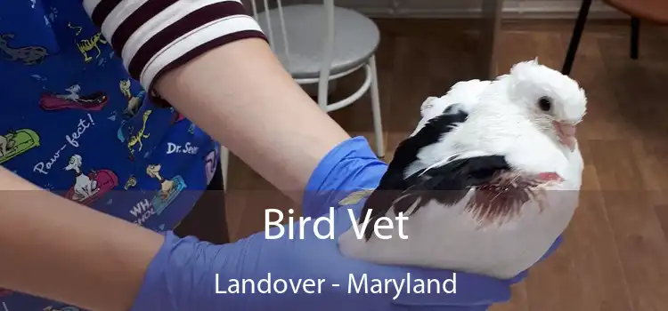 Bird Vet Landover - Maryland