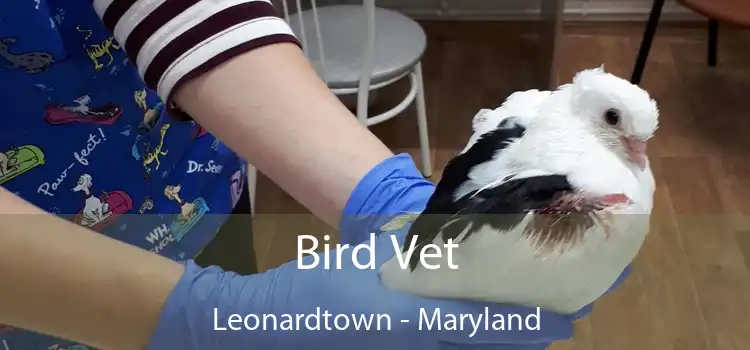 Bird Vet Leonardtown - Maryland