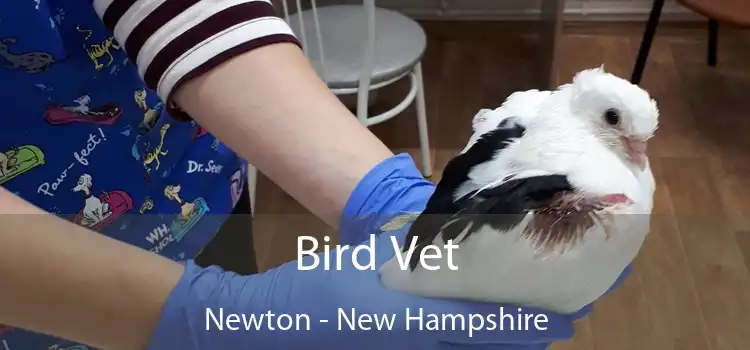 Bird Vet Newton - New Hampshire