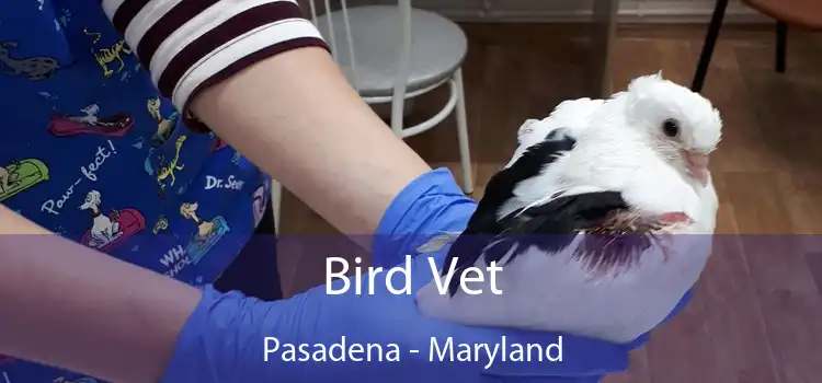 Bird Vet Pasadena - Maryland