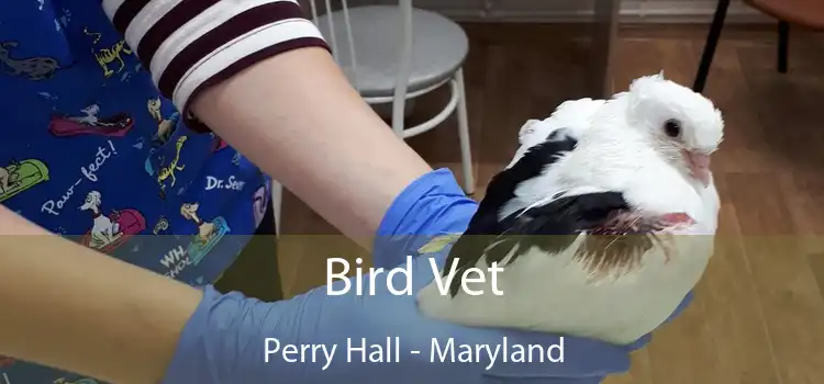 Bird Vet Perry Hall - Maryland