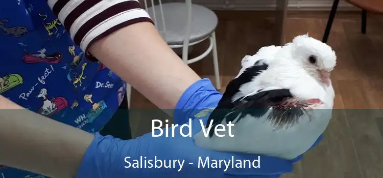 Bird Vet Salisbury - Maryland