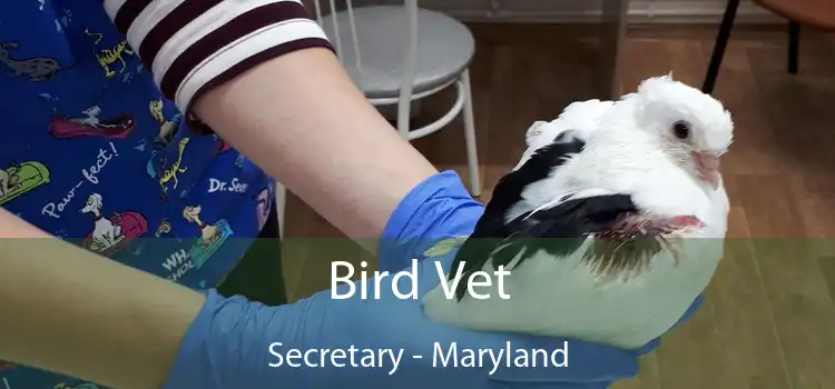 Bird Vet Secretary - Maryland