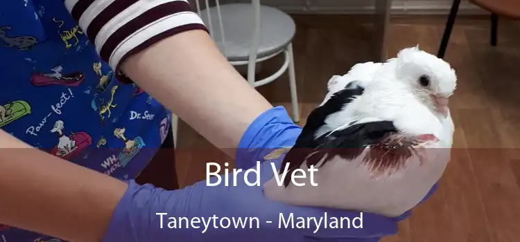 Bird Vet Taneytown - Maryland