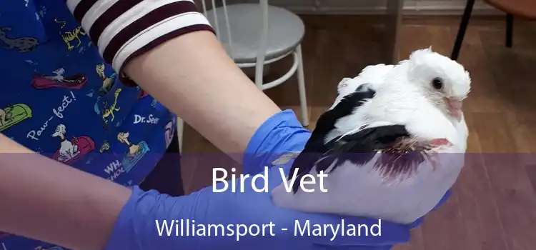 Bird Vet Williamsport - Maryland