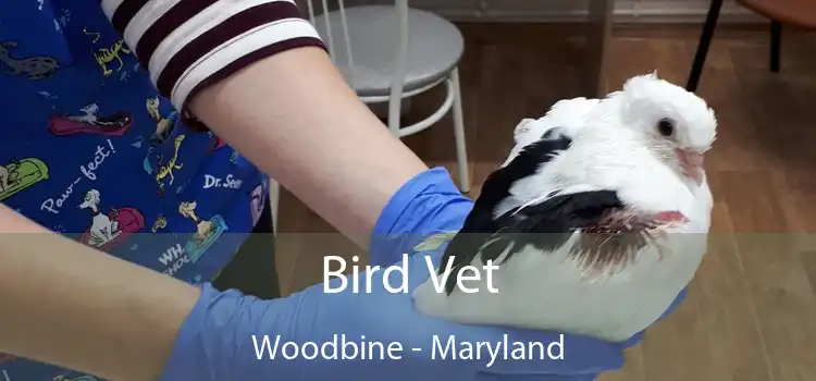 Bird Vet Woodbine - Maryland