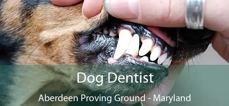 Dog Dentist Aberdeen Proving Ground - Maryland