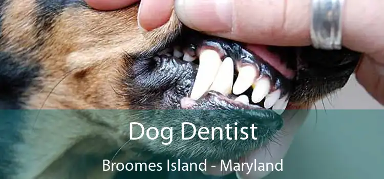 Dog Dentist Broomes Island - Maryland