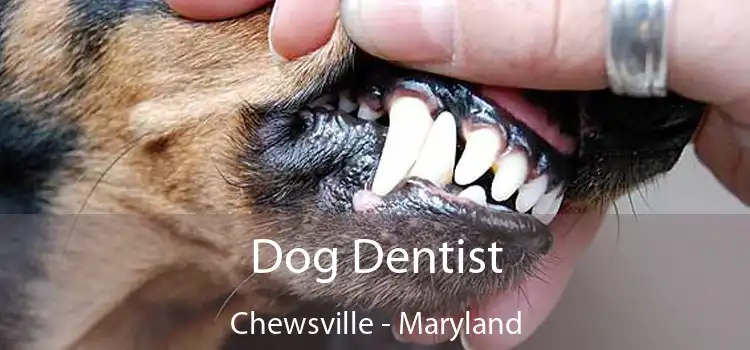 Dog Dentist Chewsville - Maryland