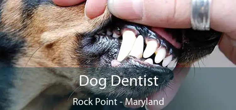 Dog Dentist Rock Point - Maryland