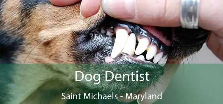 Dog Dentist Saint Michaels - Maryland