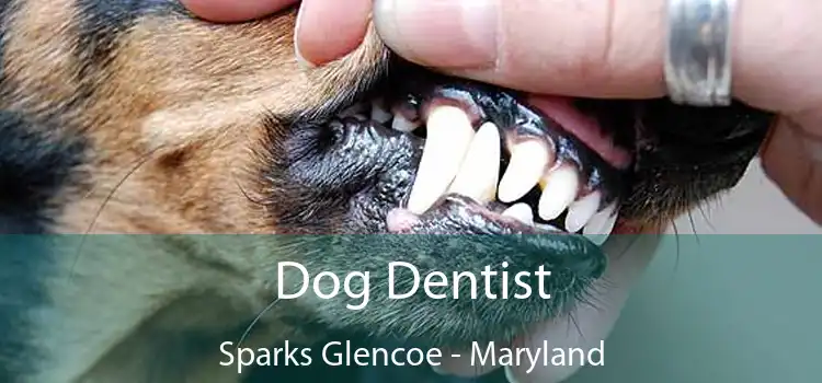 Dog Dentist Sparks Glencoe - Maryland