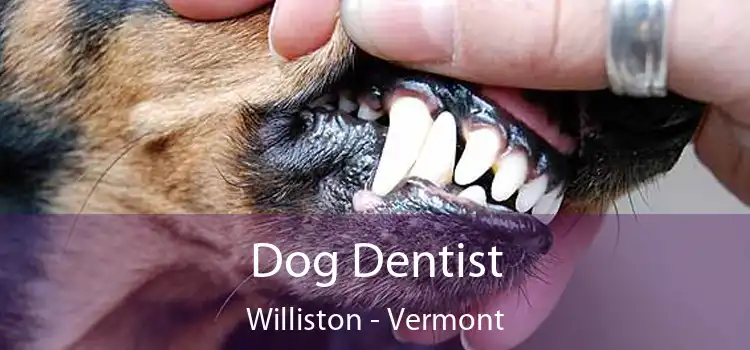 Dog Dentist Williston - Vermont