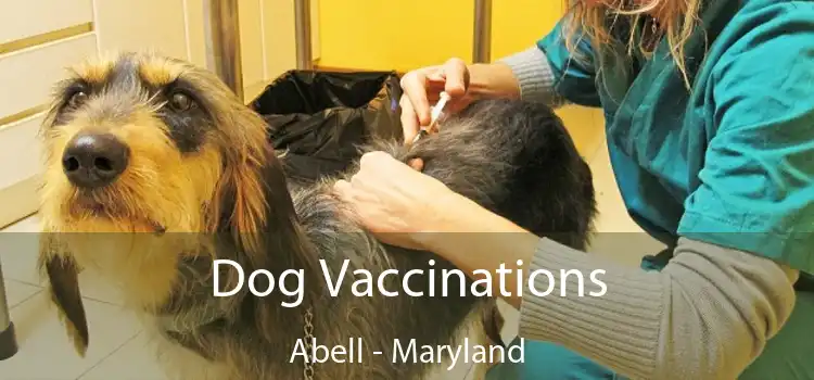 Dog Vaccinations Abell - Maryland