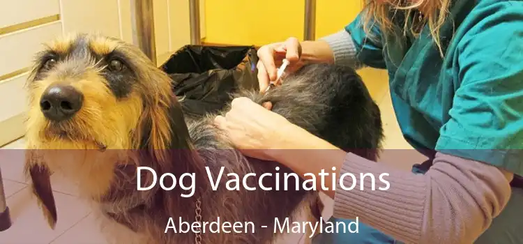 Dog Vaccinations Aberdeen - Maryland