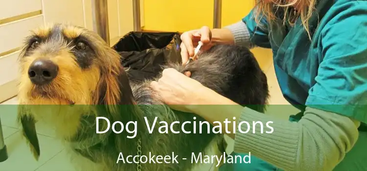 Dog Vaccinations Accokeek - Maryland