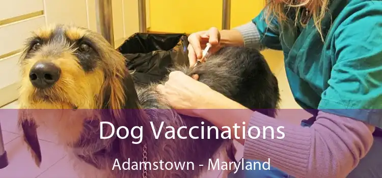 Dog Vaccinations Adamstown - Maryland