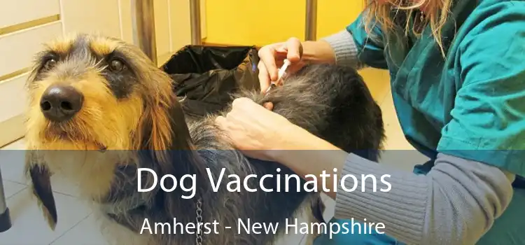 Dog Vaccinations Amherst - New Hampshire