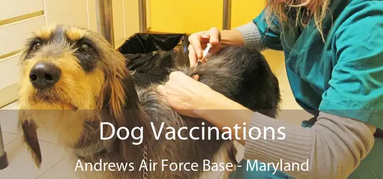 Dog Vaccinations Andrews Air Force Base - Maryland